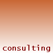 Consulting